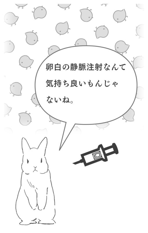卵白のリゾチームについて