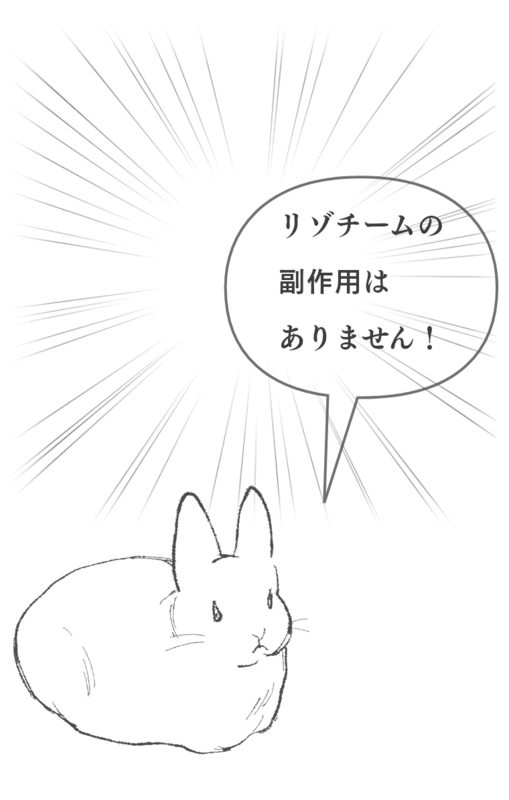 卵白のリゾチームについて