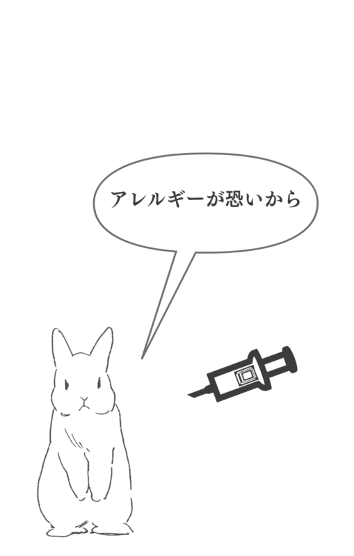 卵白のリゾチームについて