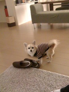ひとりごと