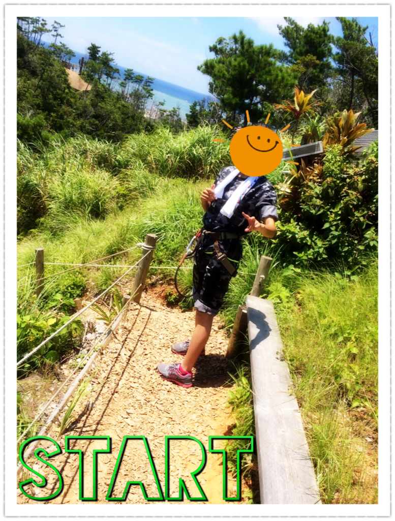f:id:bichamaru:20170823212102p:plain