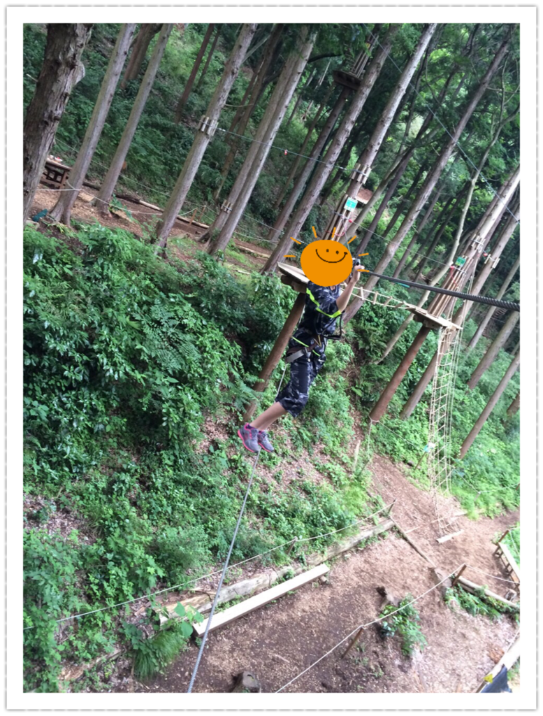 f:id:bichamaru:20170823212404p:plain