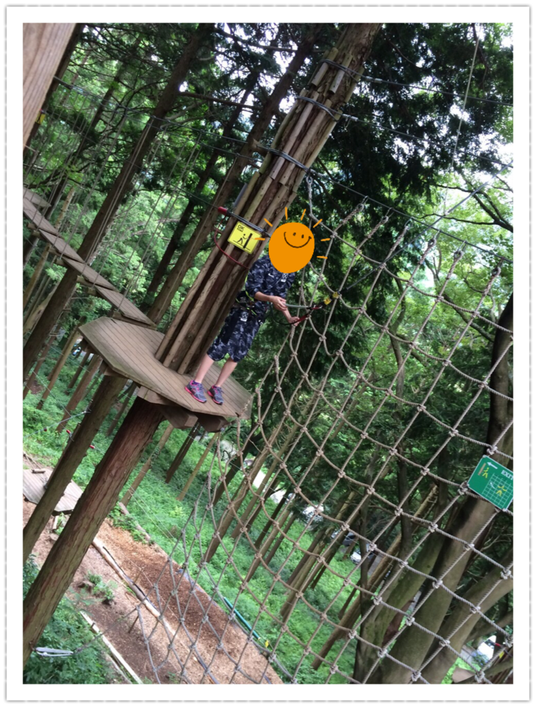 f:id:bichamaru:20170823212507p:plain