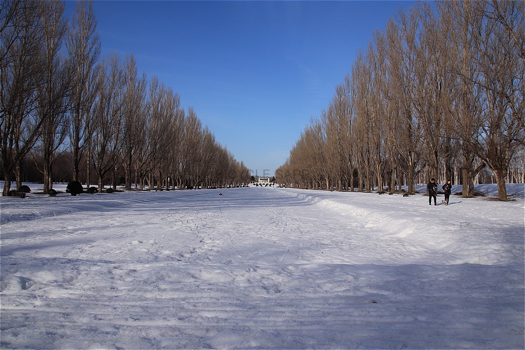 f:id:bicycle-sapp:20180321215454j:plain f:id:bicycle-sapp:20180321215454j:plain