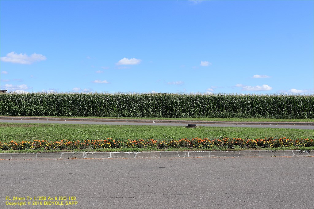 f:id:bicycle-sapp:20200829114910j:plain f:id:bicycle-sapp:20200829114910j:plain
