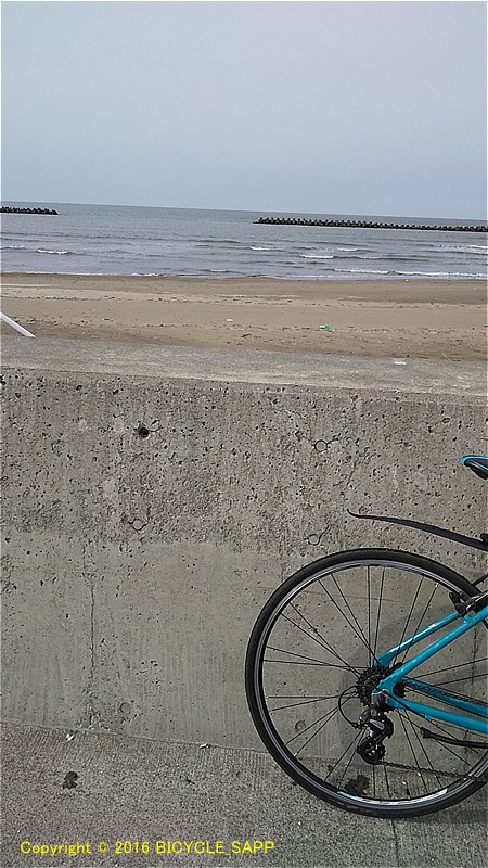 f:id:bicycle-sapp:20210323212521j:plain