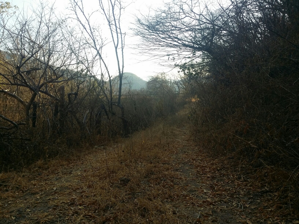 f:id:bicycleman:20170120111803j:plain