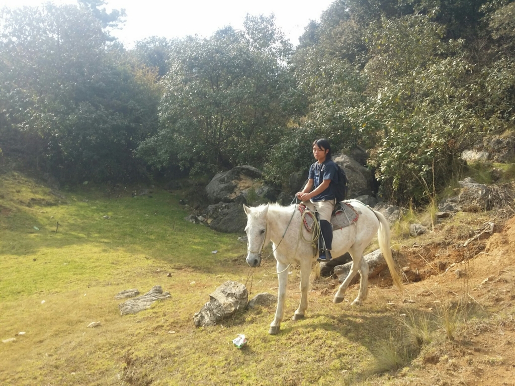 f:id:bicycleman:20170206050351j:plain