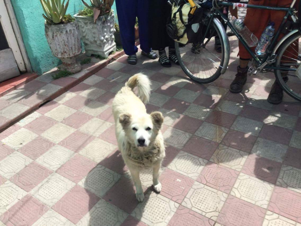 f:id:bicycleman:20170318092251j:plain