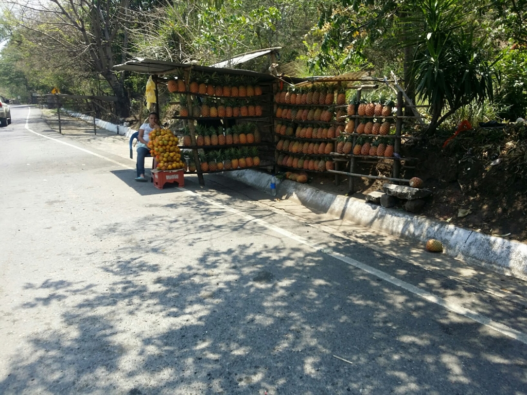 f:id:bicycleman:20170329010658j:plain