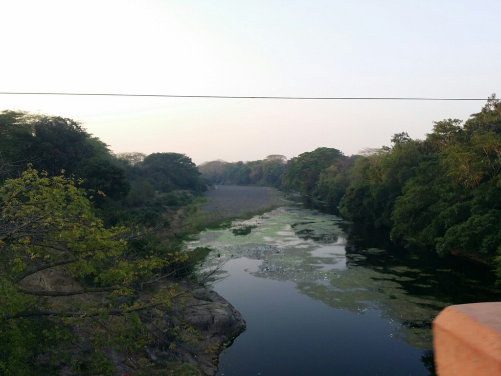f:id:bicycleman:20170329140737j:plain f:id:bicycleman:20170329140737j:plain