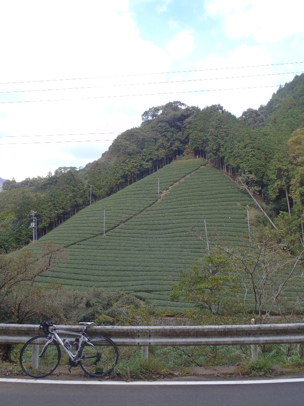 イメージ 2