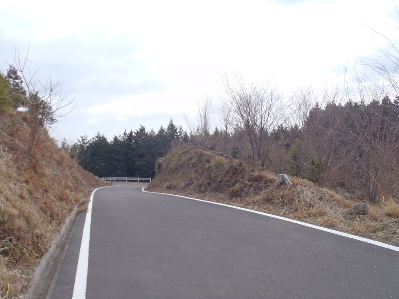 イメージ 7