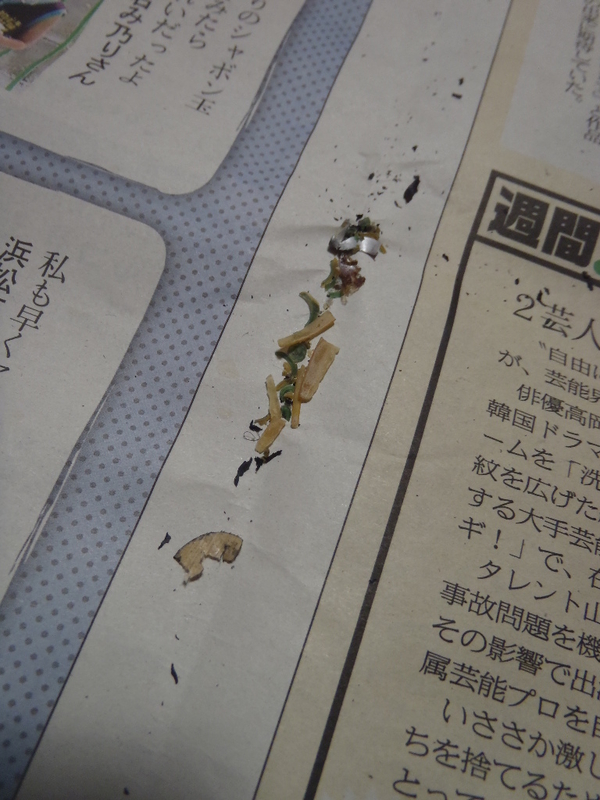イメージ 1