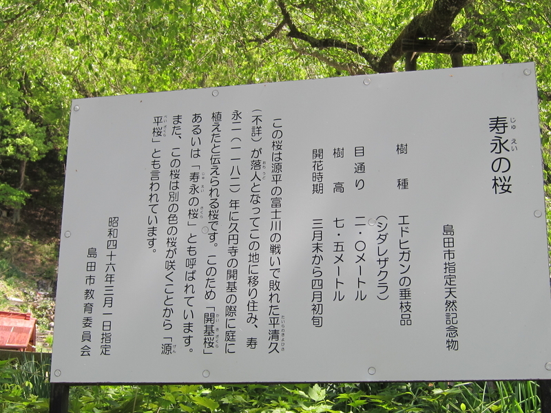 イメージ 7