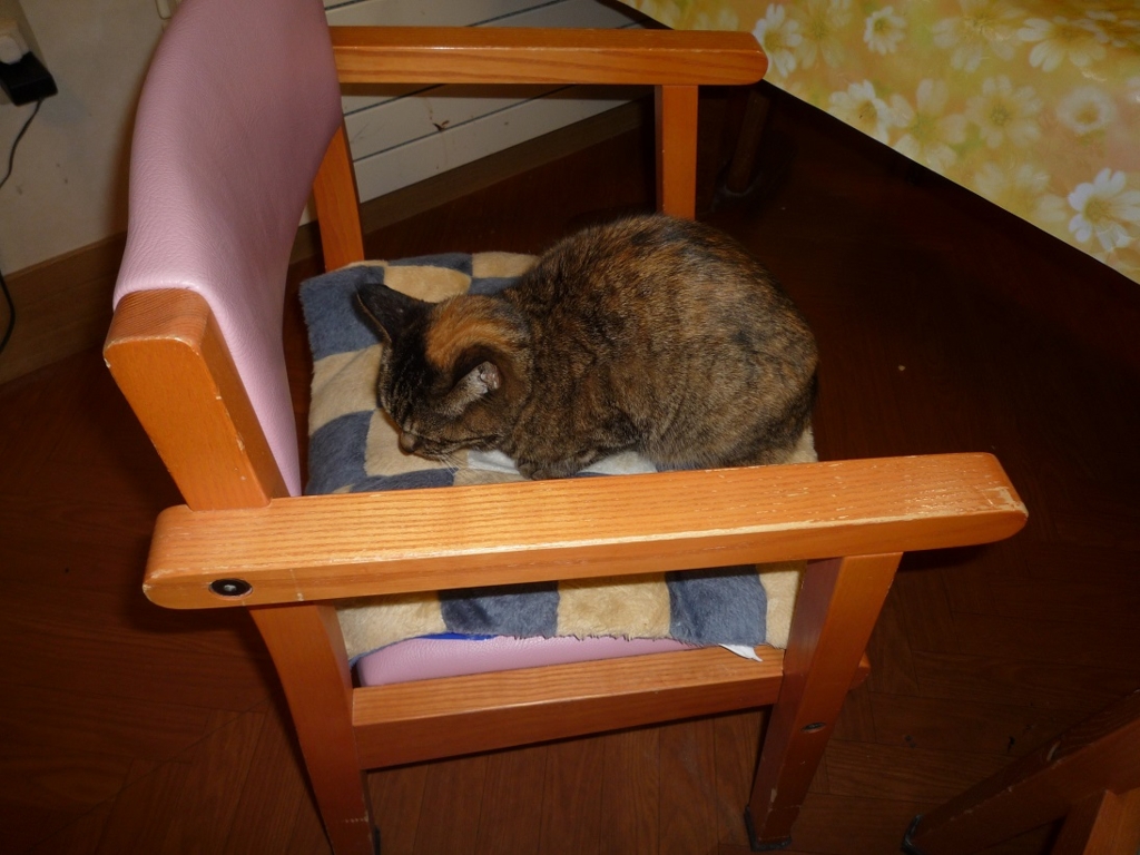 f:id:biei-jikoukai:20170219173012j:plain f:id:biei-jikoukai:20170219173012j:plain