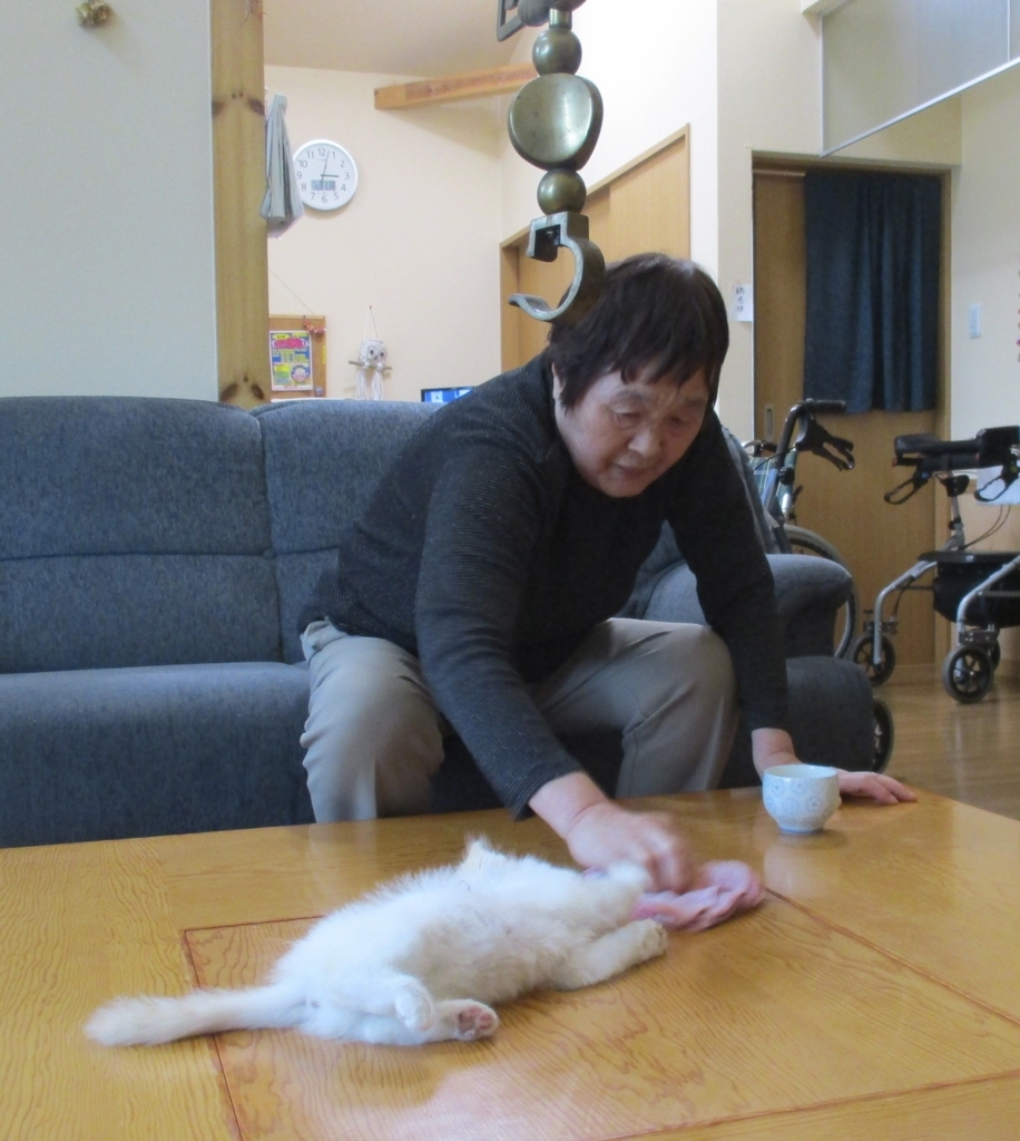 f:id:biei-jikoukai:20171115150953j:plain