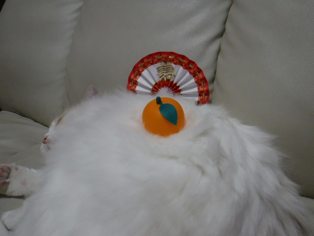 f:id:biei-jikoukai:20171231193005j:plain f:id:biei-jikoukai:20171231193005j:plain