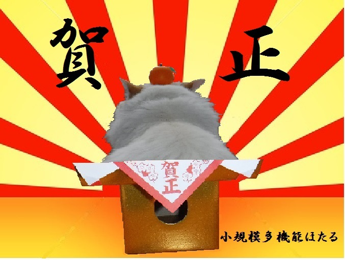 f:id:biei-jikoukai:20171231194718j:plain f:id:biei-jikoukai:20171231194718j:plain