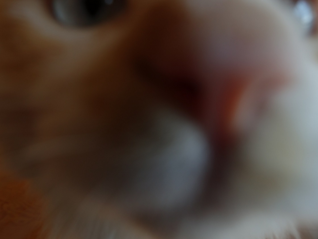 f:id:biei-jikoukai:20180320141333j:plain