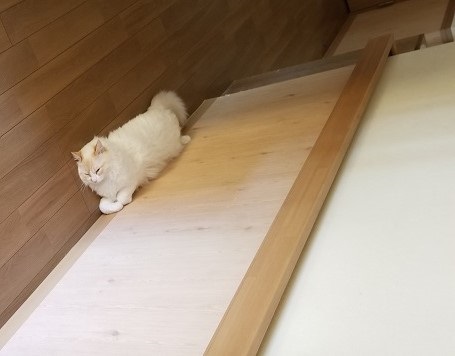 f:id:biei-jikoukai:20180725233454j:plain f:id:biei-jikoukai:20180725233454j:plain