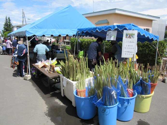 f:id:biei-jikoukai:20190617142706j:plain f:id:biei-jikoukai:20190617142706j:plain