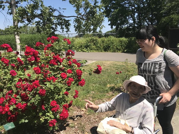 f:id:biei-jikoukai:20190710103850j:plain