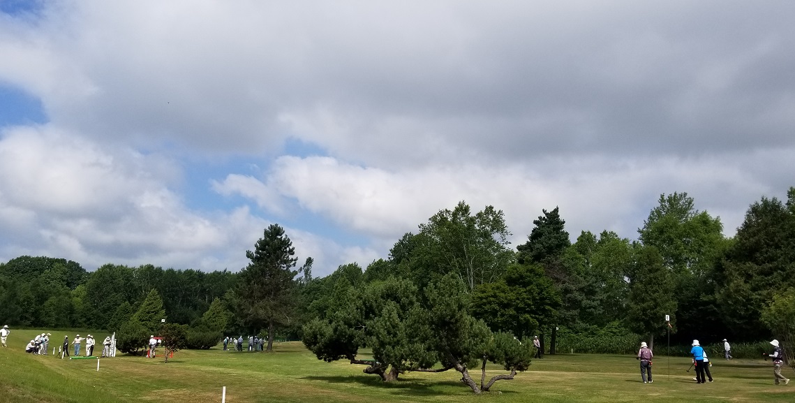 f:id:biei-jikoukai:20190724170029j:plain