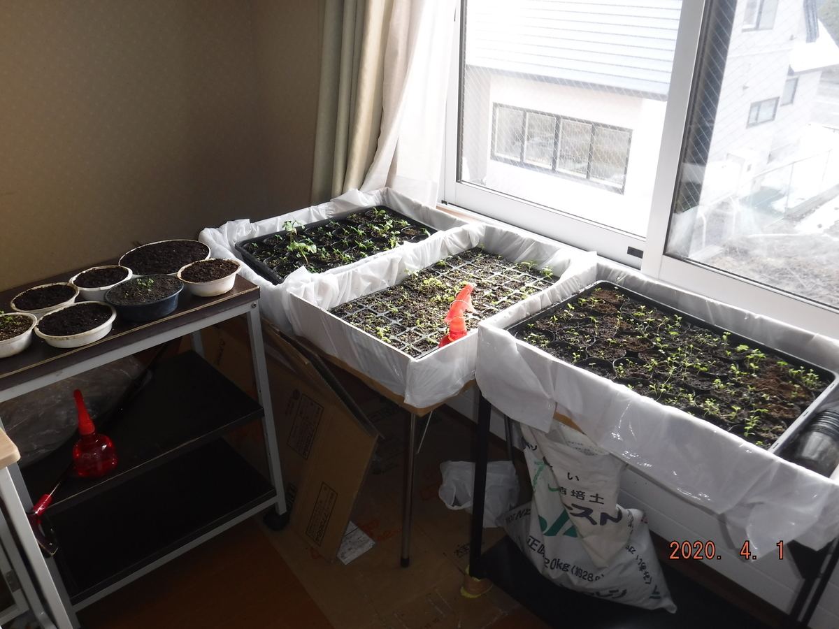 f:id:biei-jikoukai:20200607223335j:plain