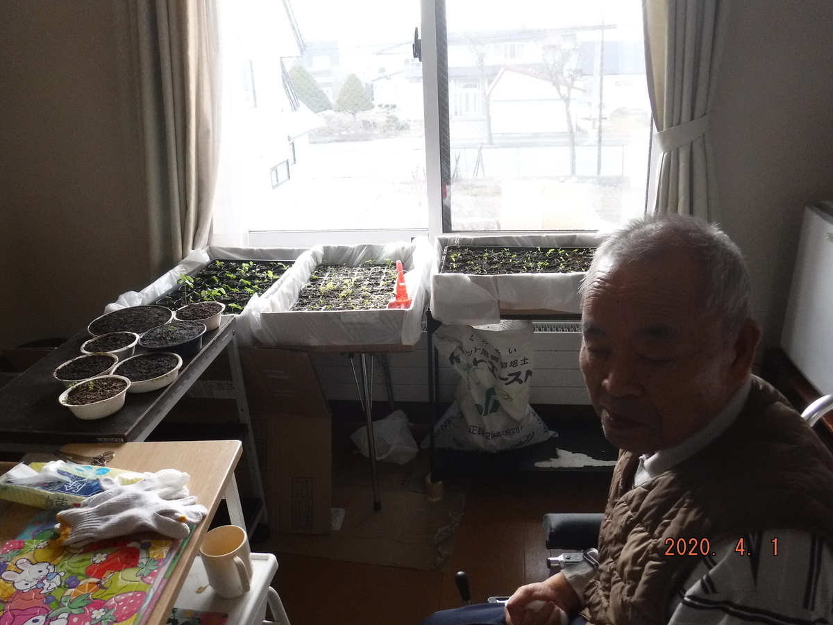 f:id:biei-jikoukai:20200607223433j:plain f:id:biei-jikoukai:20200607223433j:plain