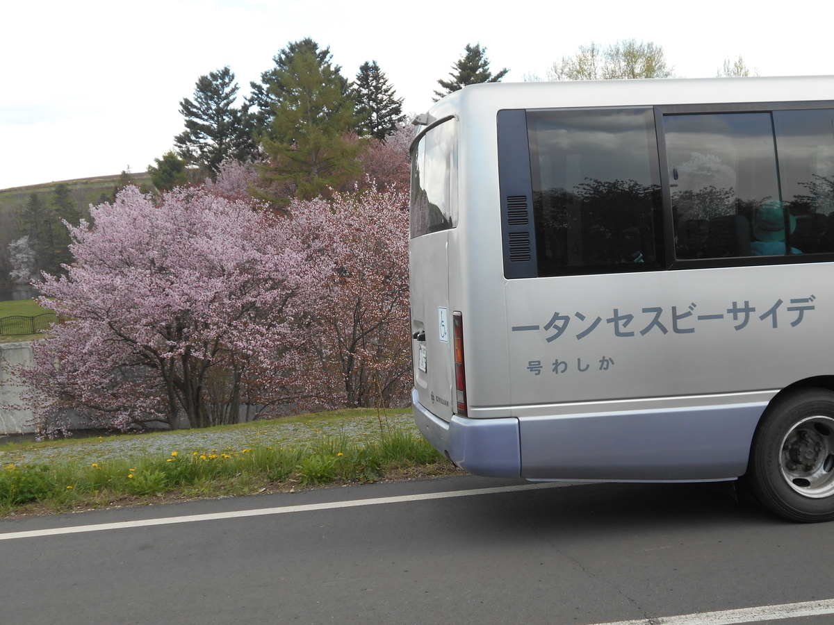 f:id:biei-jikoukai:20200611150802j:plain f:id:biei-jikoukai:20200611150802j:plain