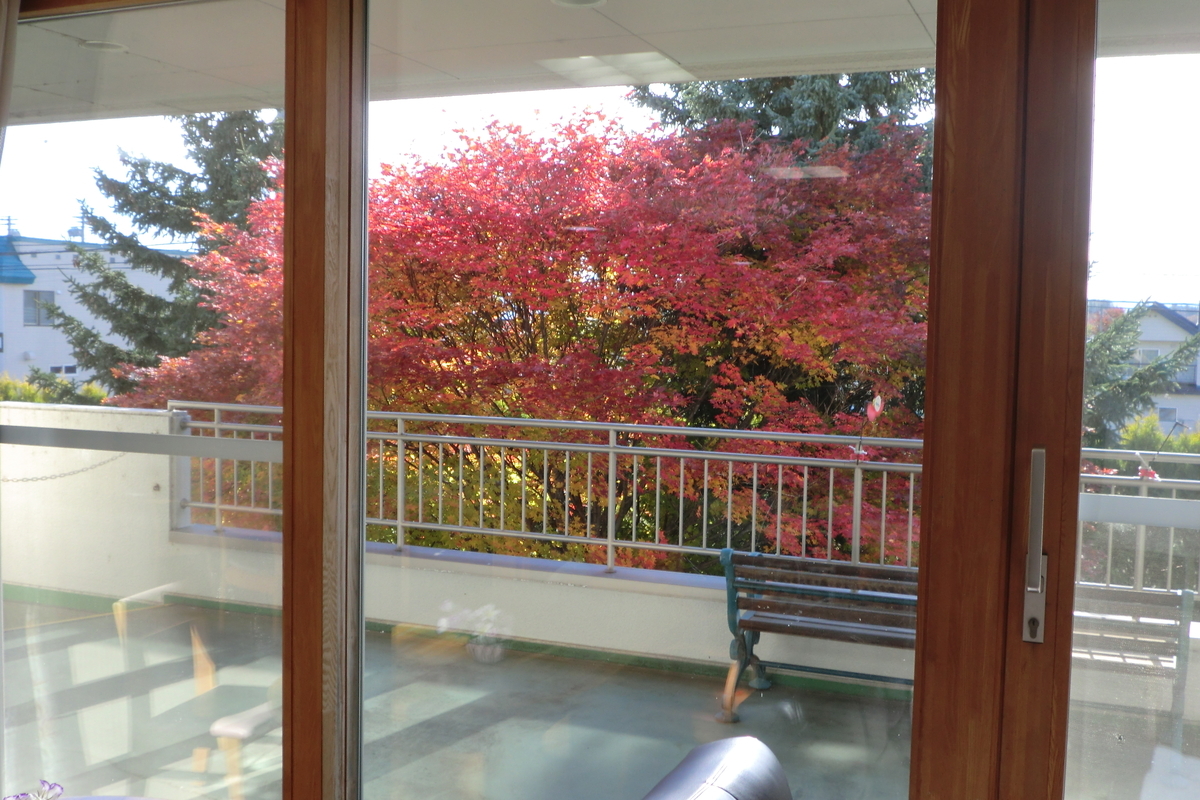 f:id:biei-jikoukai:20201026115111j:plain