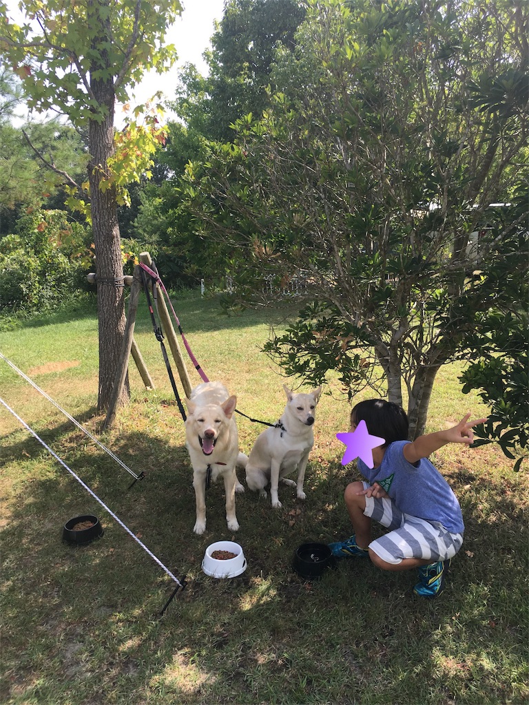 犬連れキャンプ モビレージ東条湖 兵庫県加東市 2匹の犬の里親日記