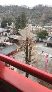 f:id:bifum:20190119161447j:plain f:id:bifum:20190119161447j:plain