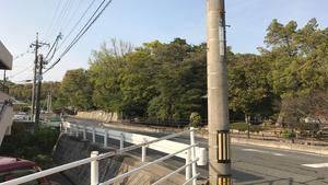 f:id:bifum:20190421164601j:plain f:id:bifum:20190421164601j:plain