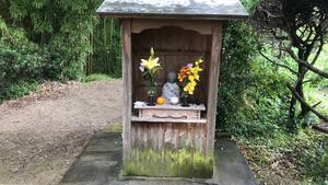 f:id:bifum:20190519095248j:plain f:id:bifum:20190519095248j:plain