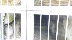f:id:bifum:20190526122503j:plain f:id:bifum:20190526122503j:plain