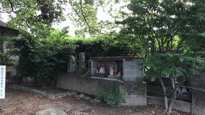 f:id:bifum:20190530174332j:plain f:id:bifum:20190530174332j:plain