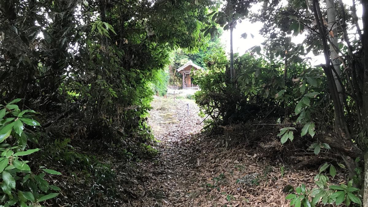 f:id:bifum:20190606174224j:plain f:id:bifum:20190606174224j:plain