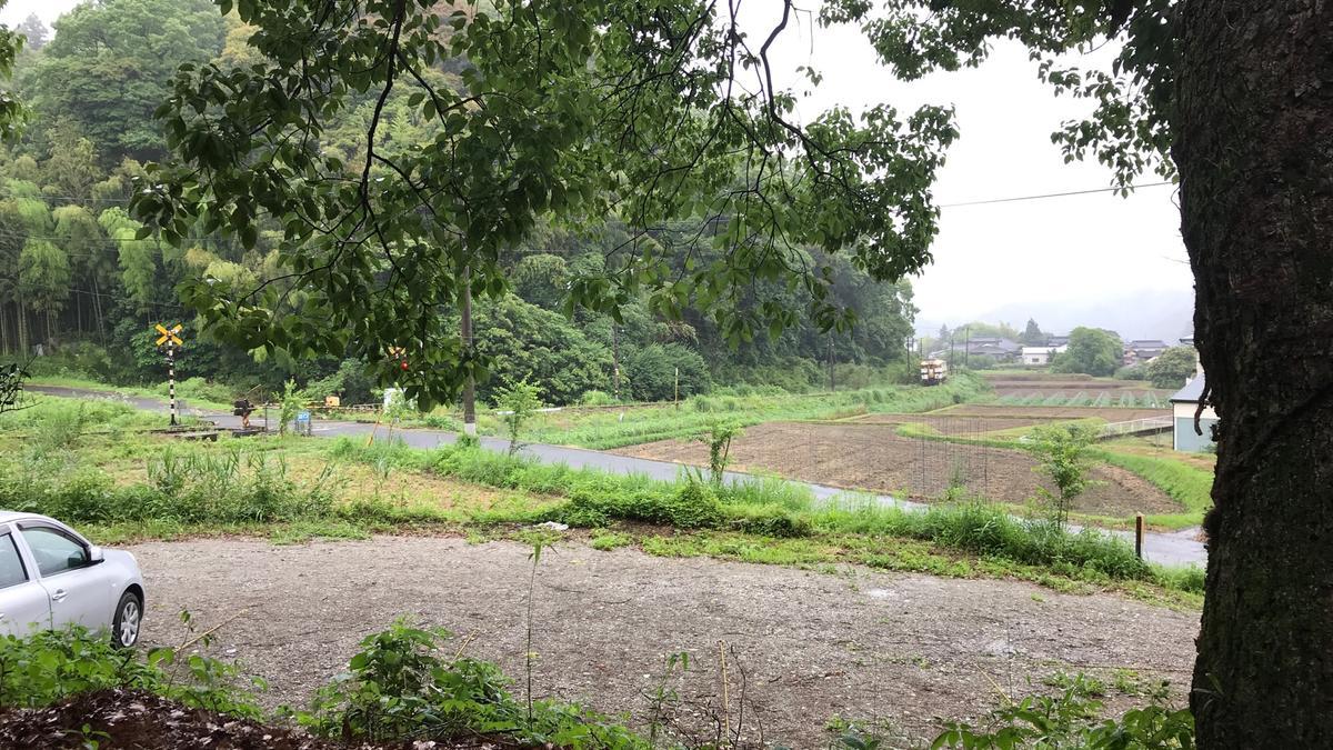 f:id:bifum:20190608074550j:plain f:id:bifum:20190608074550j:plain