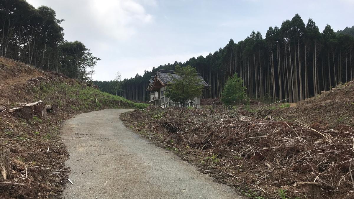 f:id:bifum:20190609111111j:plain f:id:bifum:20190609111111j:plain