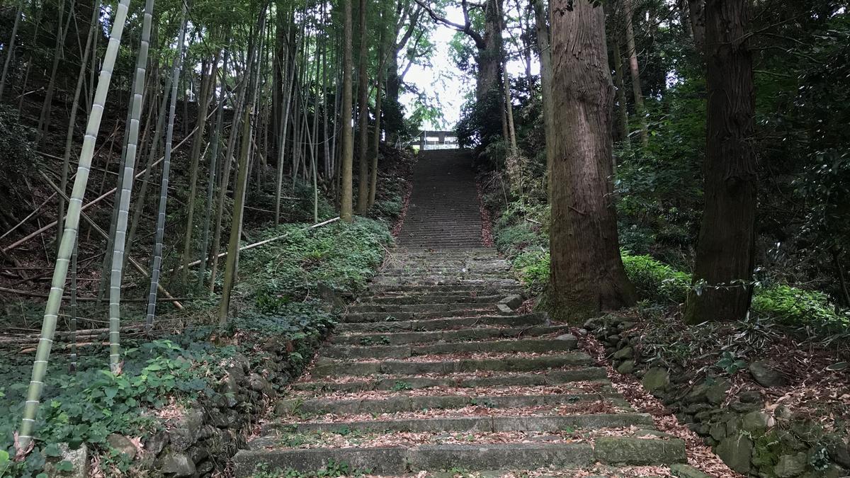 f:id:bifum:20190609113301j:plain f:id:bifum:20190609113301j:plain