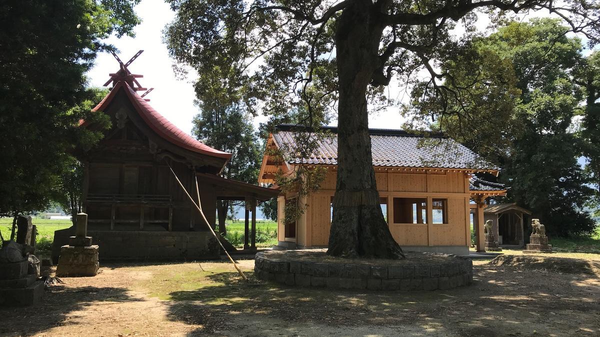 f:id:bifum:20190706110224j:plain f:id:bifum:20190706110224j:plain