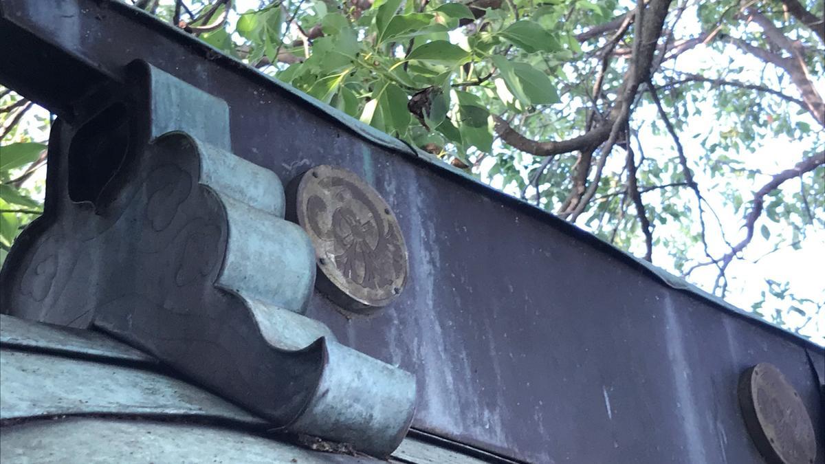 f:id:bifum:20190728171835j:plain f:id:bifum:20190728171835j:plain