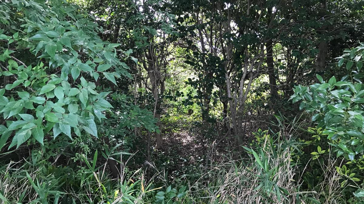 f:id:bifum:20190810151316j:plain f:id:bifum:20190810151316j:plain