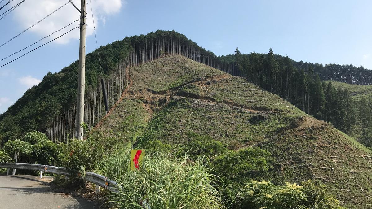 f:id:bifum:20190817150809j:plain f:id:bifum:20190817150809j:plain
