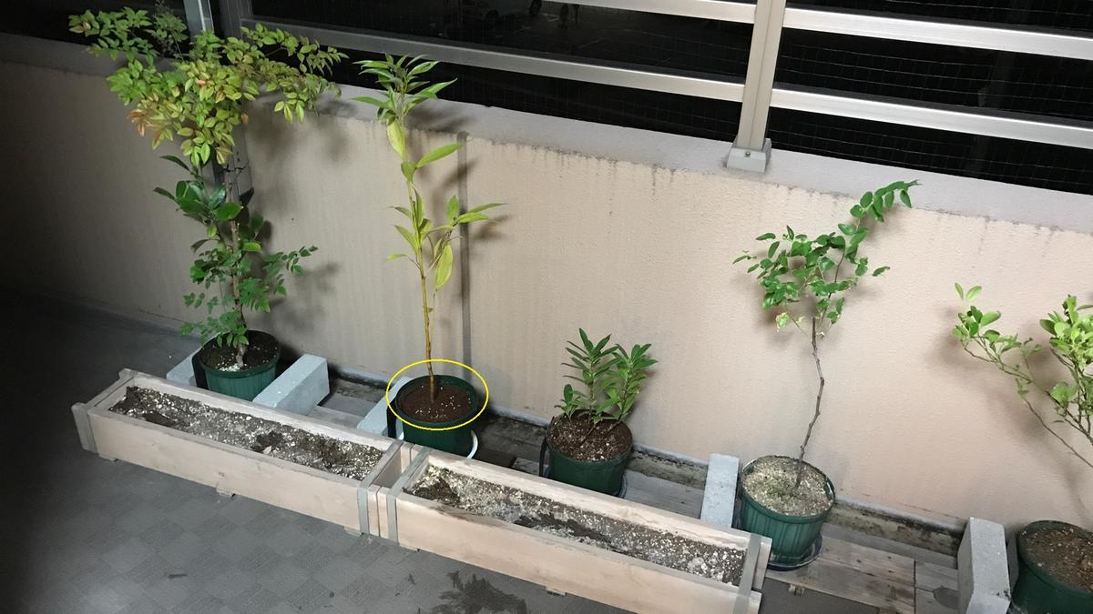 f:id:bifum:20190818214229j:plain f:id:bifum:20190818214229j:plain