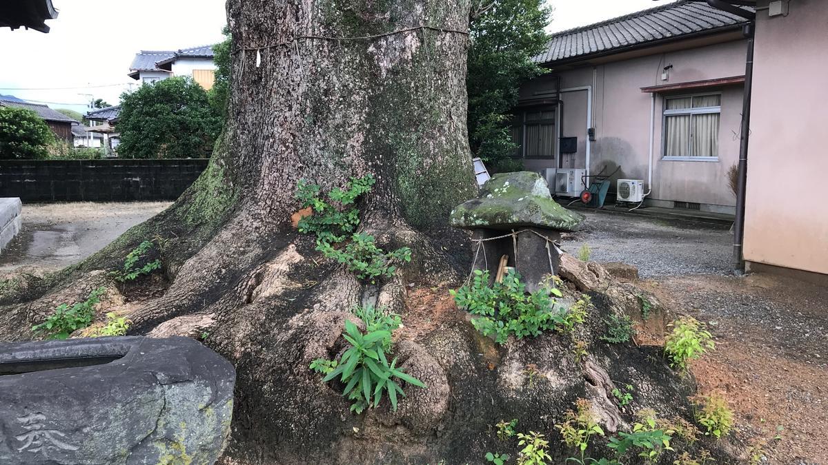f:id:bifum:20190829101105j:plain f:id:bifum:20190829101105j:plain