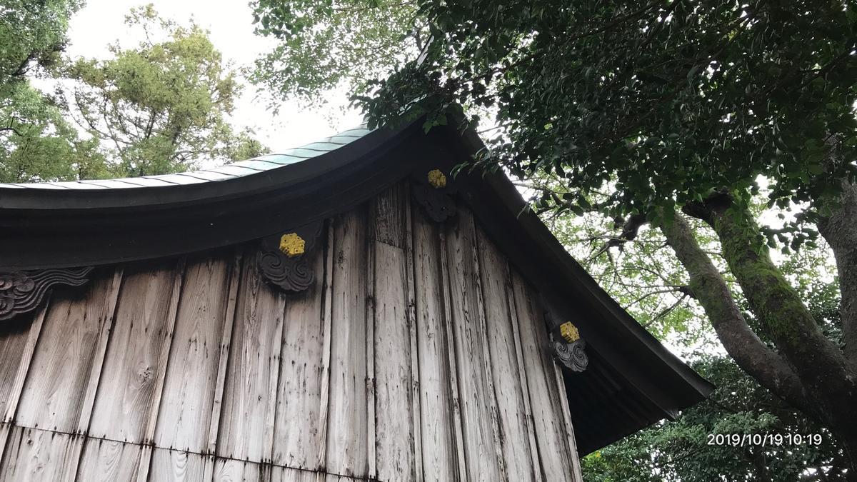 f:id:bifum:20191019101953j:plain f:id:bifum:20191019101953j:plain