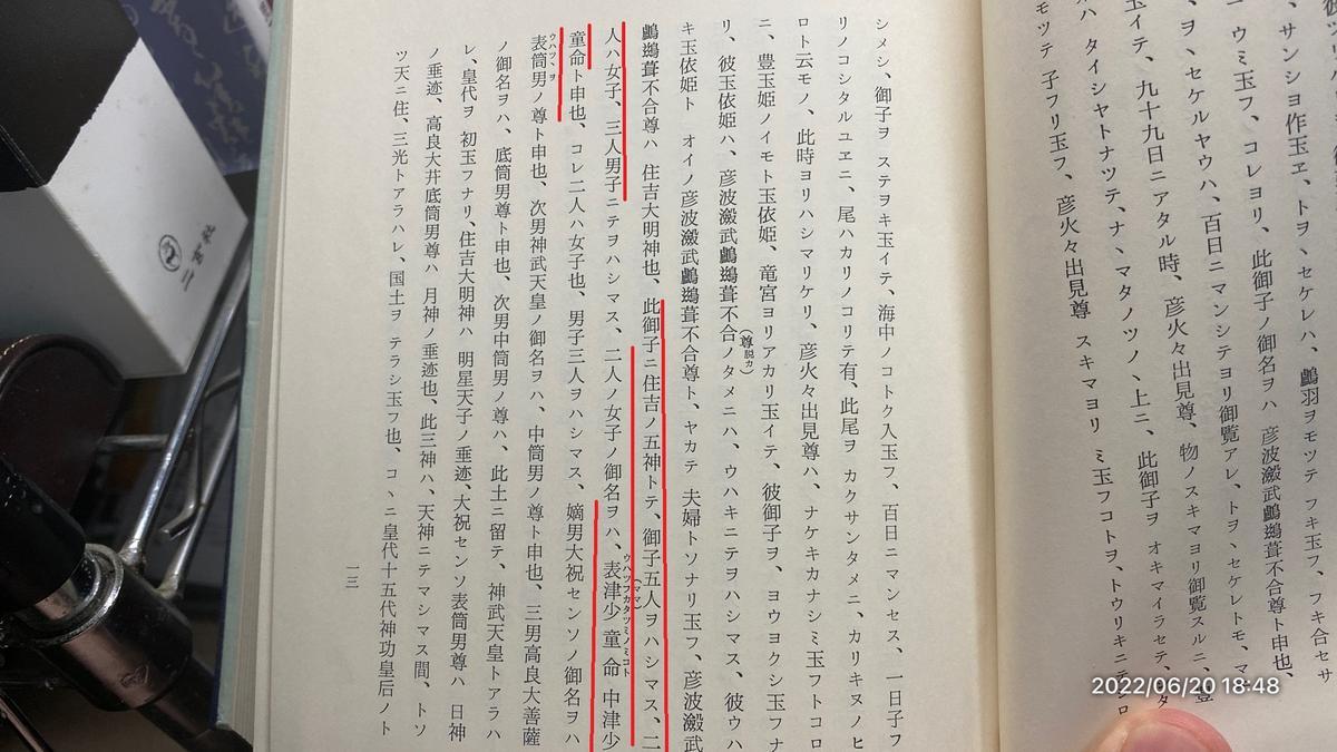 福岡市東区志賀島 志賀海神社 - 松村かえるの「かえるのねどこ」